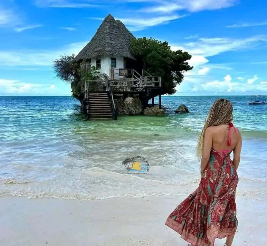 Zanzibar: Jozani Forest, Salaam Cave & The Rock Restaurant - What to expect at Salaam Cave Aquarium