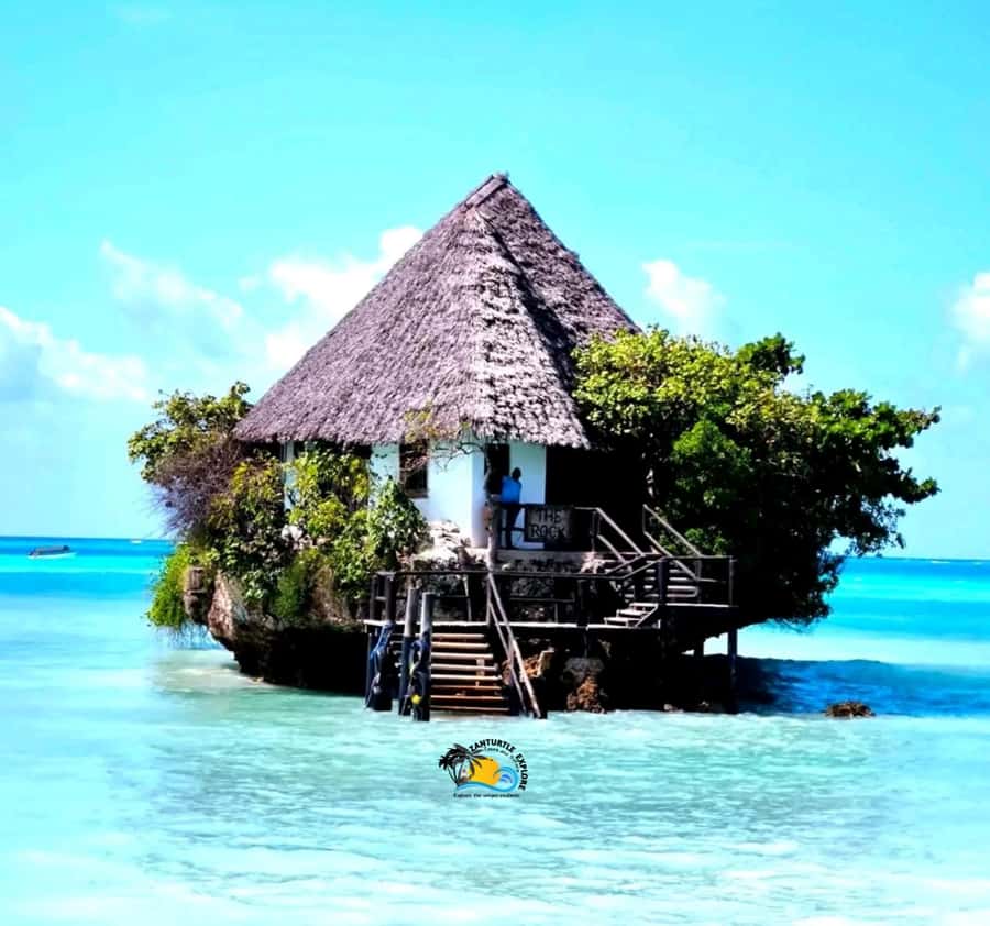 Zanzibar: Jozani Forest, Salaam Cave & The Rock Restaurant - Who will enjoy this tour most