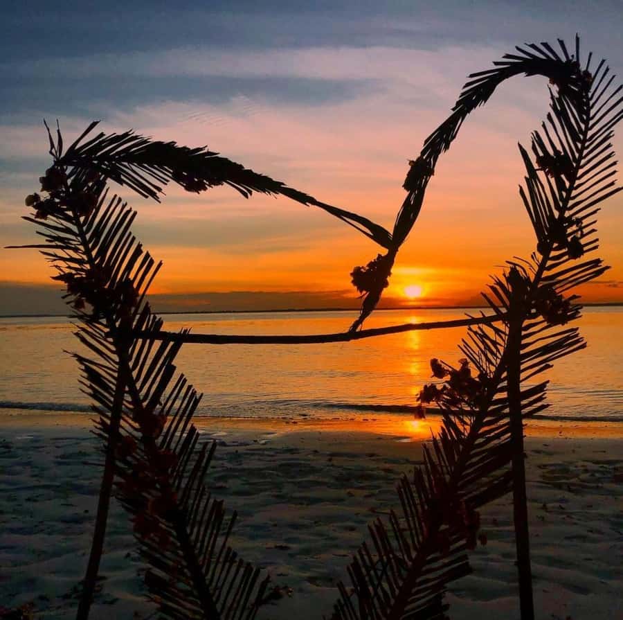 Zanzibar: Jozani Forest, Salaam & Maalum Caves and Sunset - Key points at a glance