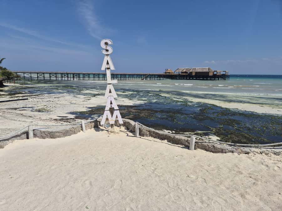 Zanzibar: Jozani Forest & Sea Tortoises Sanctuary Tour - Why this Zanzibar combination works so well