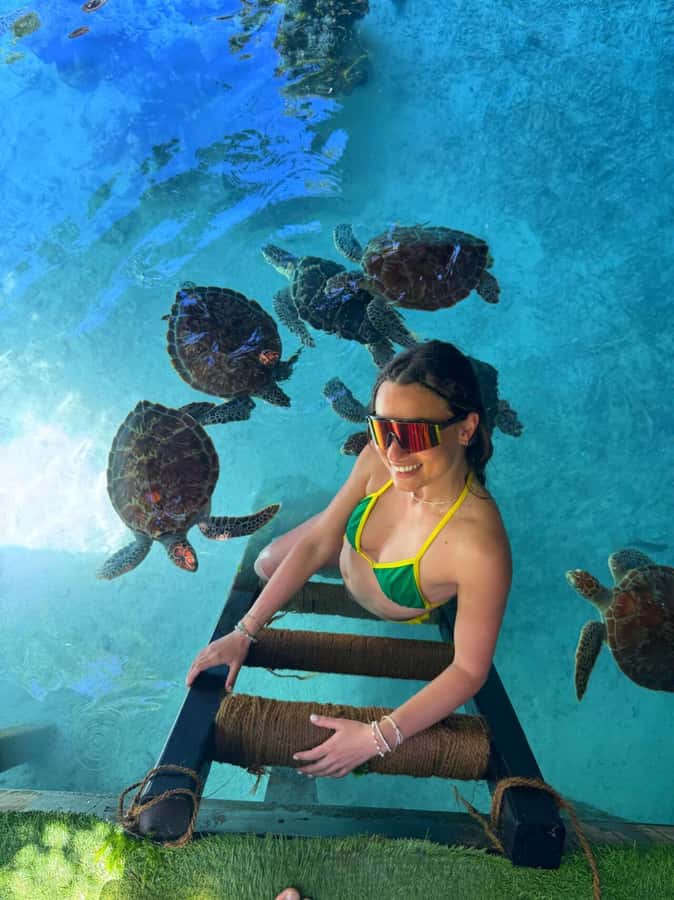 Zanzibar: Jozani Forest & Sea Tortoises Sanctuary Tour - What the turtle encounter is really like