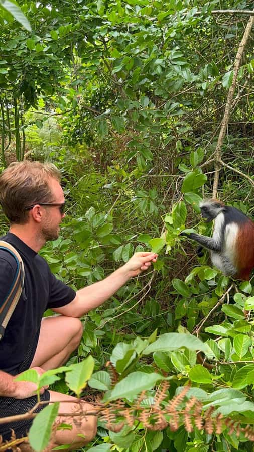 Zanzibar: Jozani Forest & Sea Tortoises Sanctuary Tour - Transport, timing, and group choices