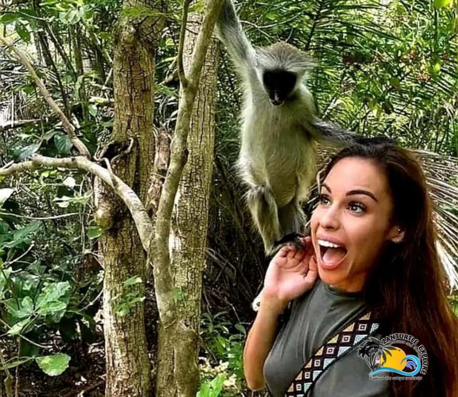 Zanzibar: Jozani Forest Tour and The Rock Restaurant - Crossing the mangrove boardwalk