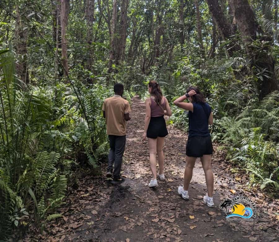 Zanzibar: Jozani Forest Tour and The Rock Restaurant - Is the meal worth the extra cost?