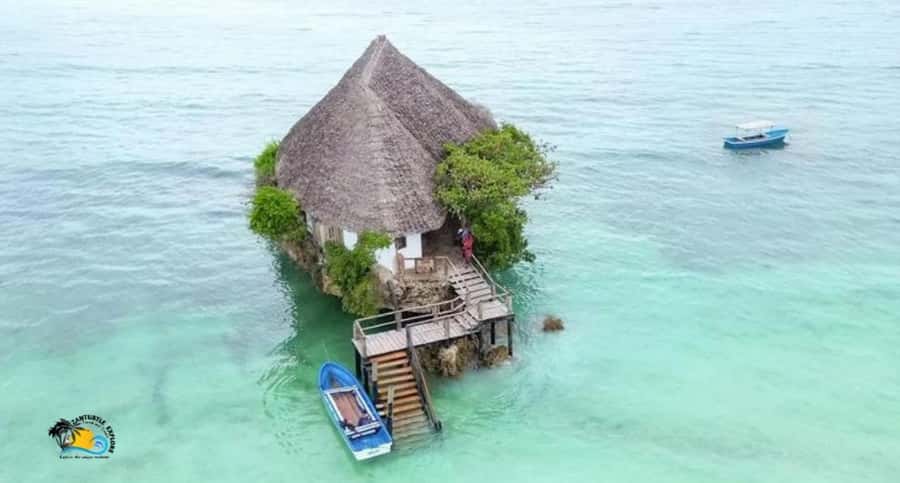 Zanzibar: Jozani Forest Tour and The Rock Restaurant - Transport, guides, and the pace of the day