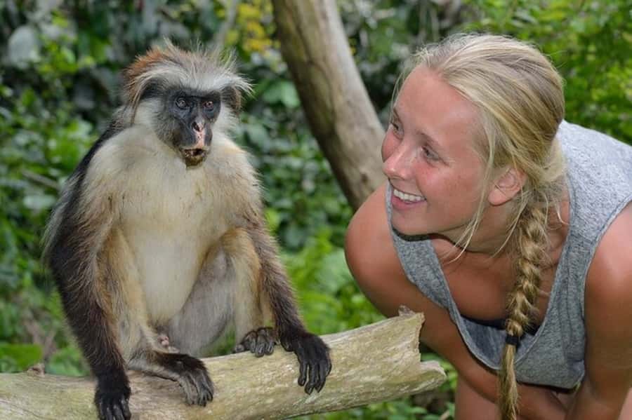 Zanzibar: Jozani Forest Watching Colobus Monkeys Guided Tour - Why Jozani Forest is worth a half-day