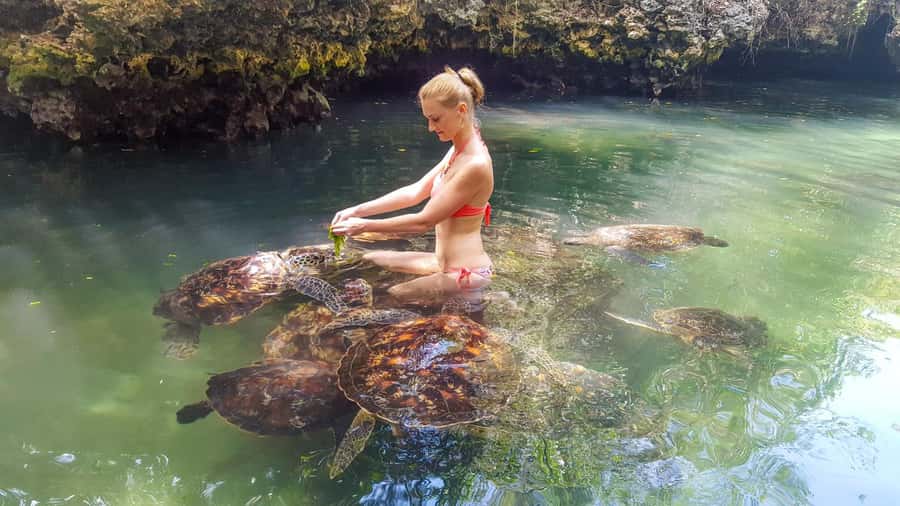 Zanzibar: Maasai village and Nungwi turtles experience trip - Meeting Maasai people in the traditional village