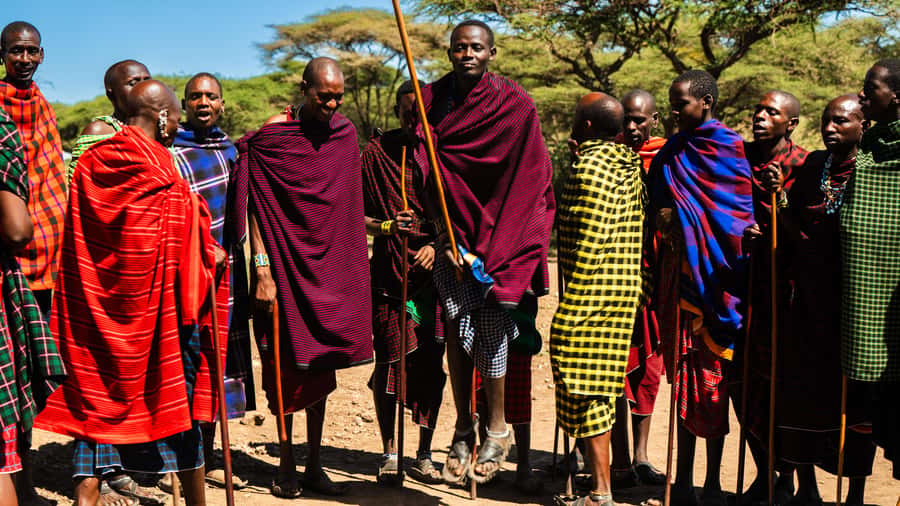 Zanzibar: Maasai village and Nungwi turtles experience trip - How much guidance you get at the turtle stop