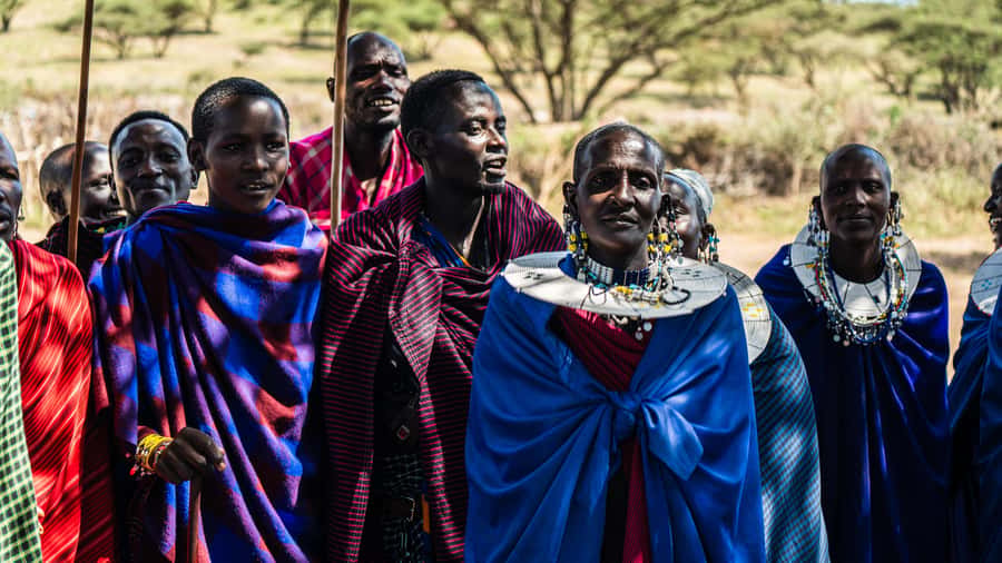 Zanzibar: Maasai village and Nungwi turtles experience trip - Who should book this half-day trip