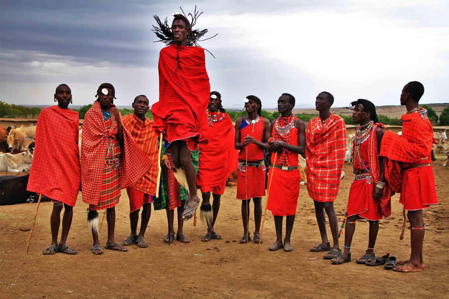 Zanzibar: Maasai village Tour with Sunset Dhow Cruise - Key points to know before booking
