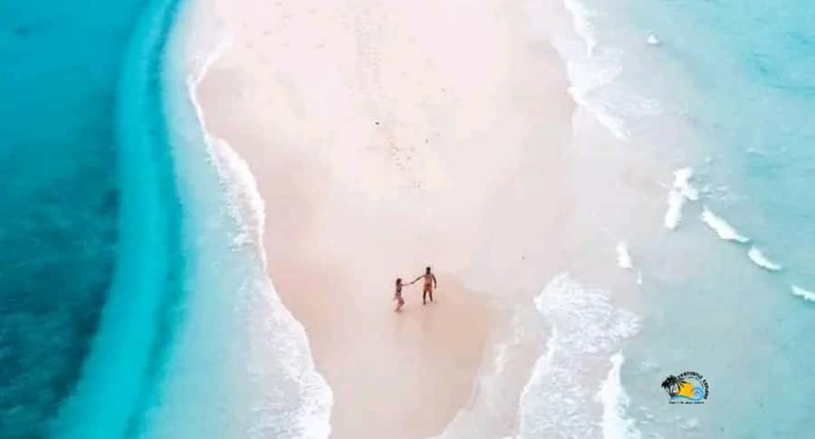 Zanzibar: Mnemba Dolphins Tour with Snorkeling and Sandbank - Why this half-day trip is appealing