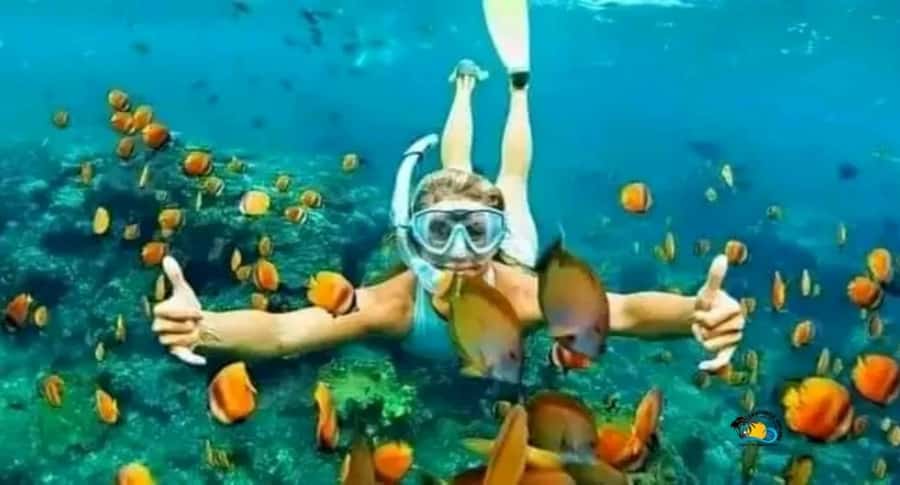 Zanzibar: Mnemba Dolphins Tour with Snorkeling and Sandbank - The 30-minute dhow ride toward Mnemba Island