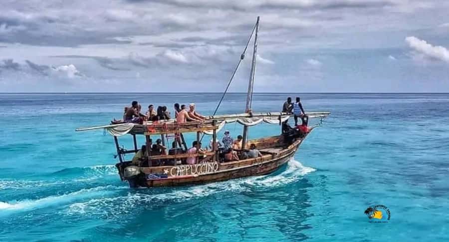 Zanzibar: Mnemba Dolphins Tour with Snorkeling and Sandbank - What the $65 price really includes