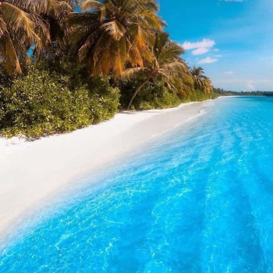 Zanzibar: Mnemba Island Atoll Guided Day Trip - Simple ways to get more from the day