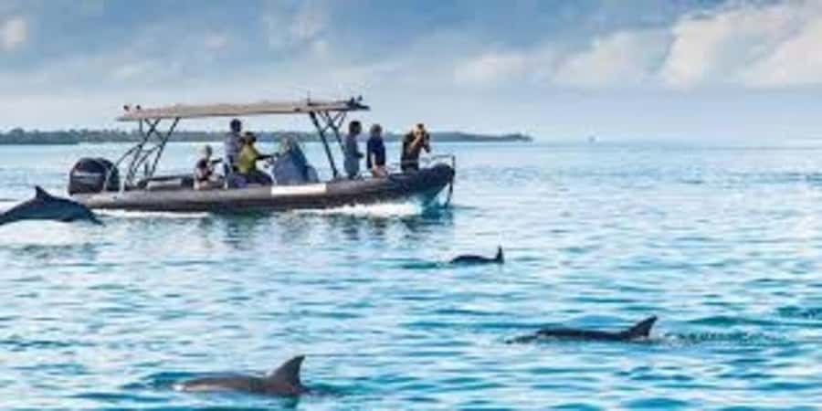 ZANZIBAR: Mnemba island, Baraka aquarium and spice farm - Snorkeling, starfish, and the low-tide sandbank