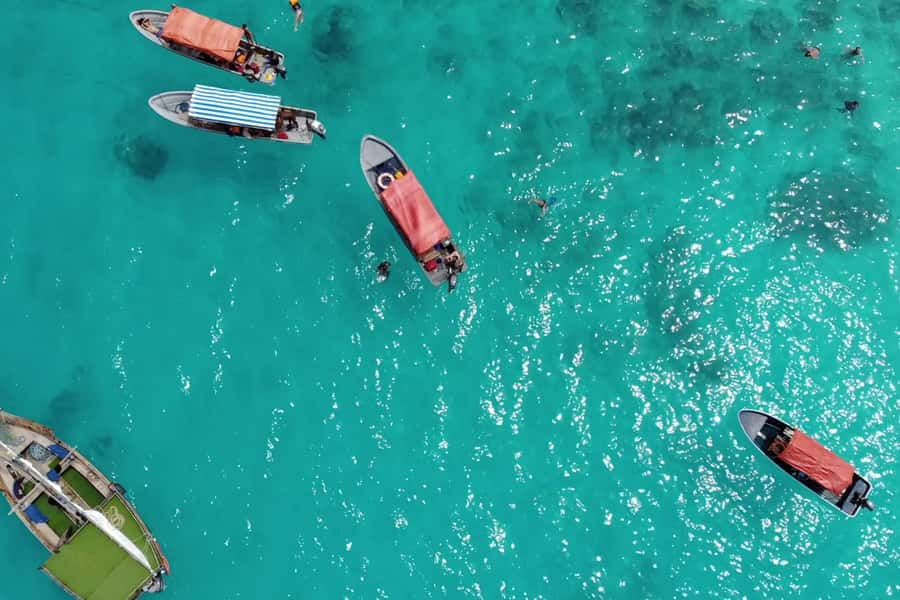 Zanzibar: Mnemba Island Dolphin and Snorkeling Tour - Key points before you book