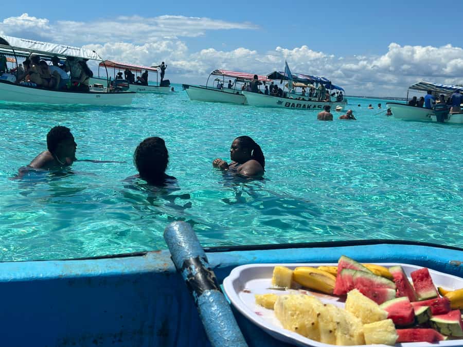 Zanzibar: Mnemba Island Dolphin and Snorkeling Tour - What the $40 price really buys