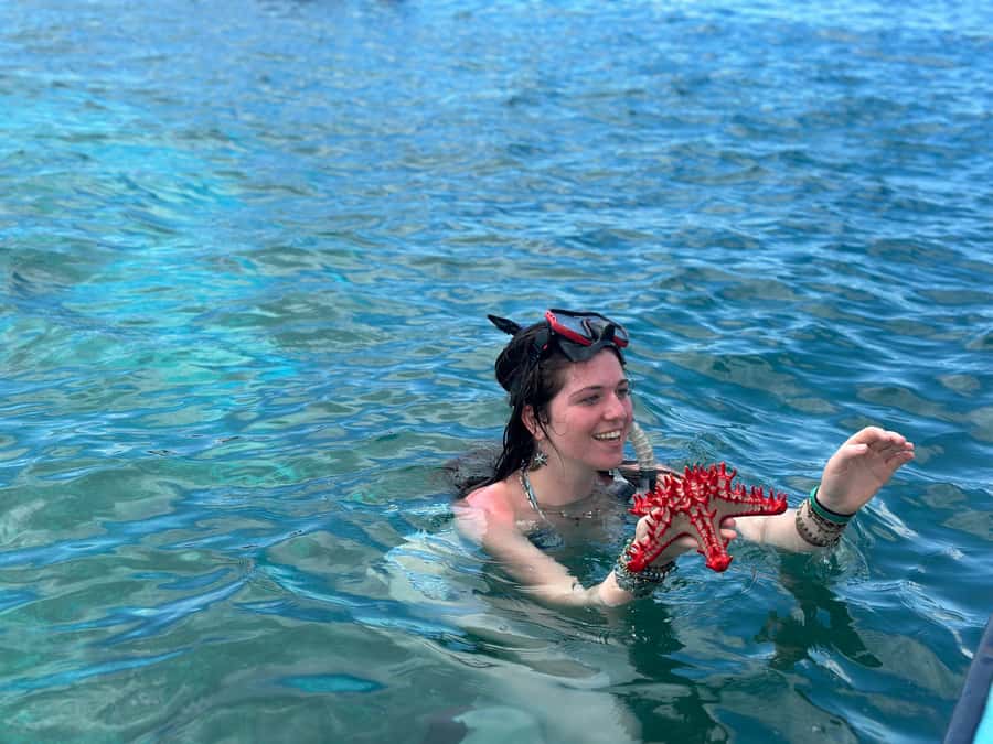 Zanzibar: Mnemba Island&Dolphin Swim With Optional Lunch - Key points to know before booking