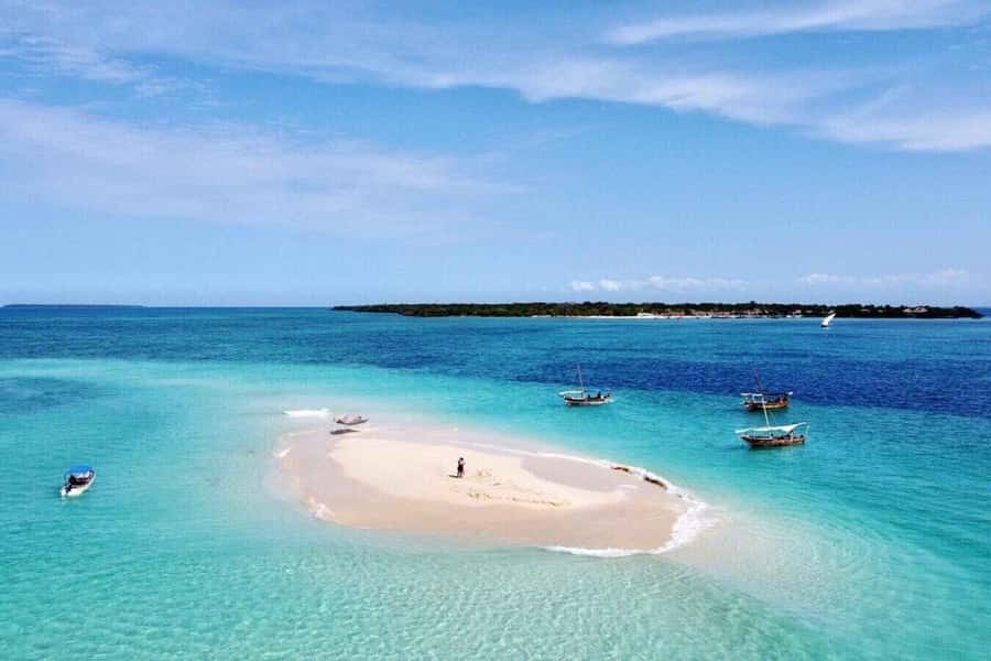 Zanzibar: Mnemba Island&Dolphin Swim With Optional Lunch - Setting out from Nungwi or Muyuni