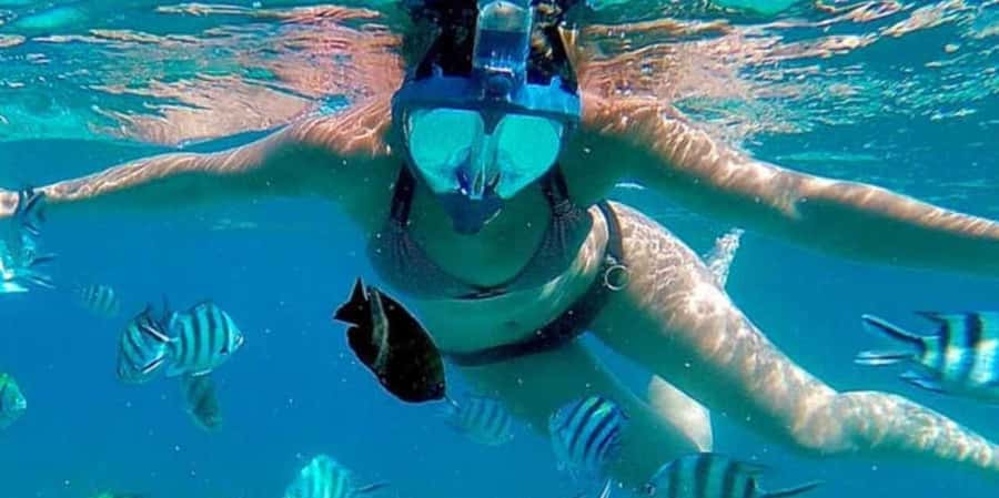 Zanzibar: Mnemba Island&Dolphin Swim With Optional Lunch - What I like about the crew service