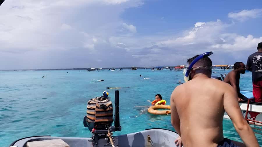 Zanzibar: Mnemba Island&Dolphin Swim With Optional Lunch - Who should book this Mnemba trip?