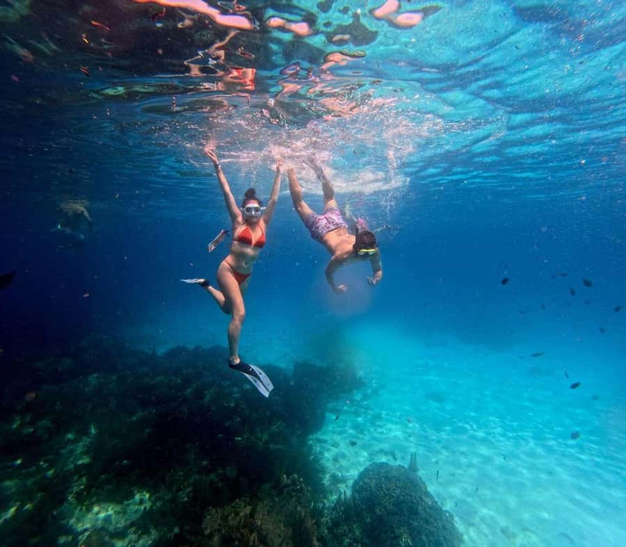 Zanzibar: Mnemba Island Private tour - Snorkeling around Mnemba Atoll