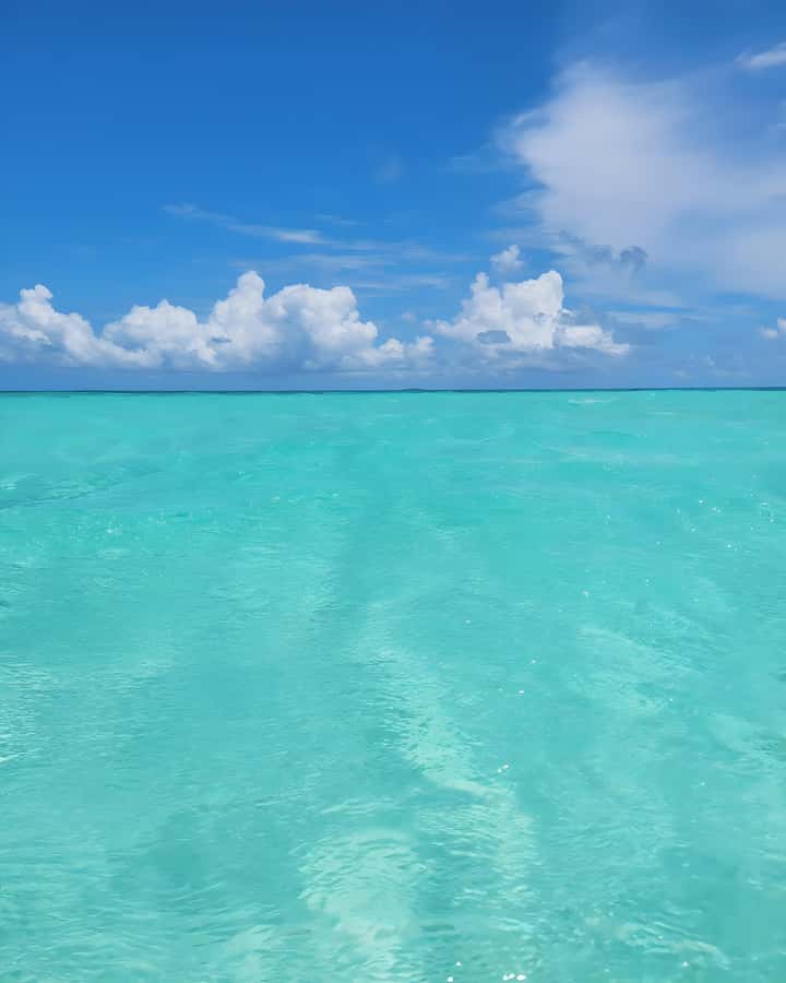 Zanzibar: Mnemba Island Snorkeling and Dolphin Tour - Snorkeling near Mnemba Atoll
