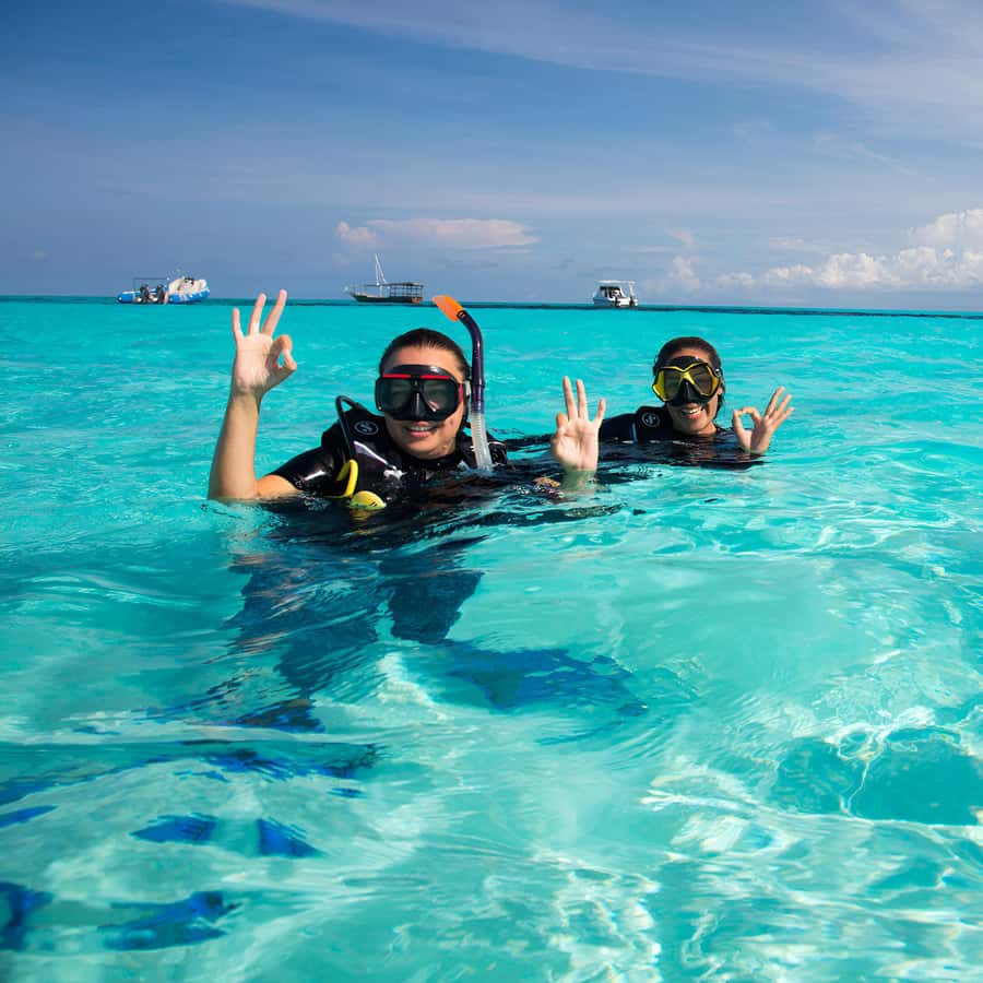 Zanzibar: Mnemba Island Snorkeling and Dolphin Tour - Who will enjoy this tour most
