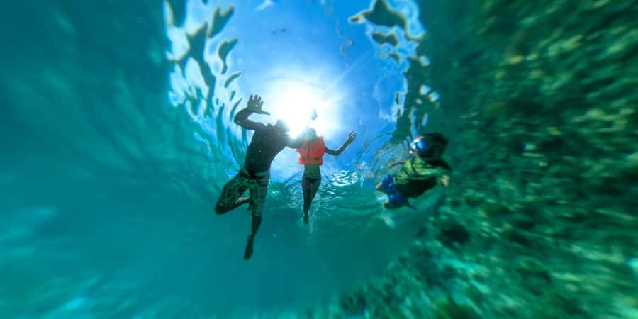 Zanzibar: Mnemba island Snorkeling & Boat Tour with Lunch - Who will enjoy this tour most