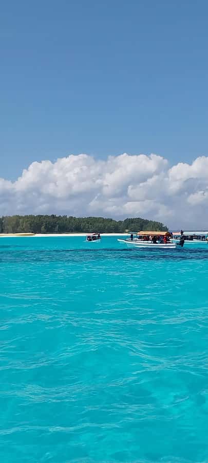Zanzibar: Mnemba Island Snorkeling & Dolphin - The sandbank stop and fresh fruit