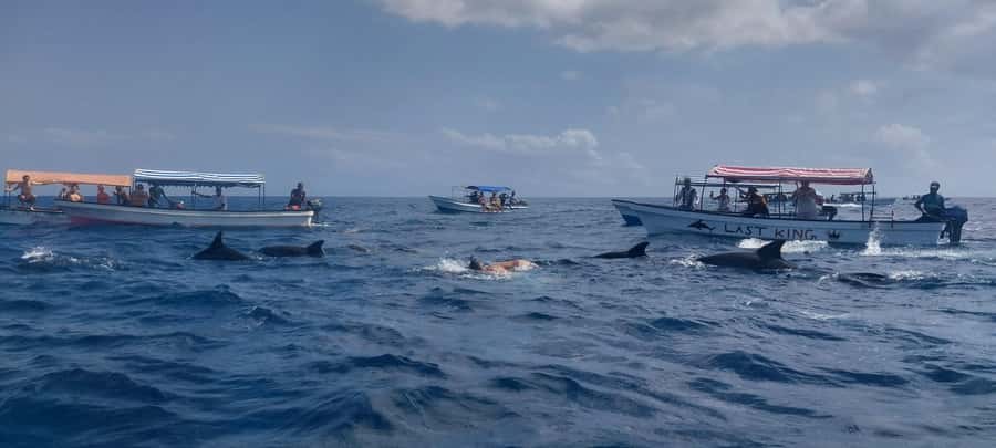Zanzibar: Mnemba Island Snorkeling & Dolphin - What the $27 price really covers