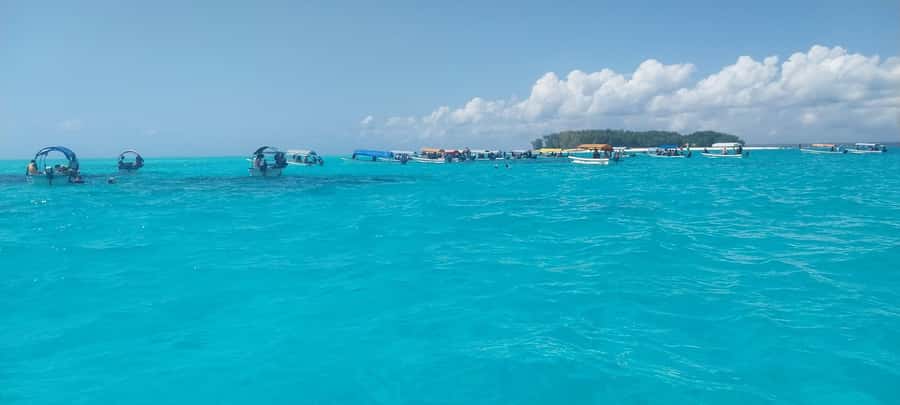 Zanzibar: Mnemba Island Snorkeling & Dolphin - Who will get the most from this trip