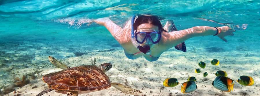 Zanzibar Mnemba island snorkling & swim with turtles Tour - Three hours around Mnemba’s coral reefs