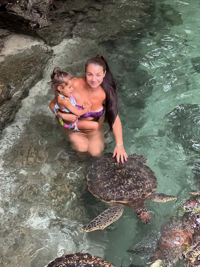 Zanzibar Mnemba island snorkling & swim with turtles Tour - What the boat experience may be like