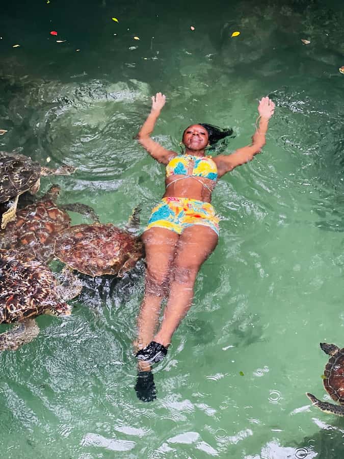 Zanzibar Mnemba island snorkling & swim with turtles Tour - Meeting the turtles at Nungwi