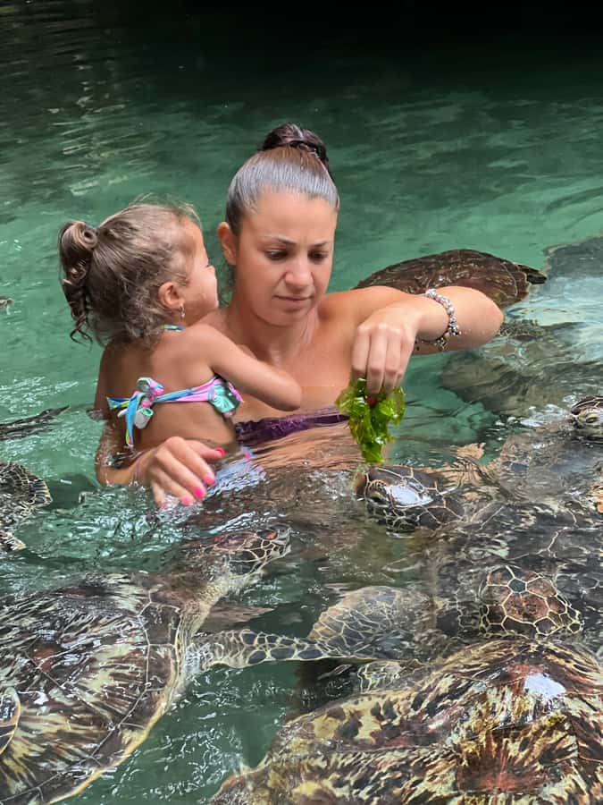 Zanzibar Mnemba island snorkling & swim with turtles Tour - Who will enjoy this day most?