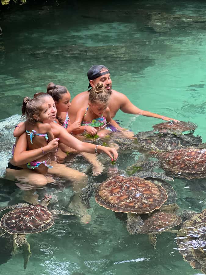 Zanzibar Mnemba island snorkling & swim with turtles Tour - Should you book the Mnemba and turtle tour?