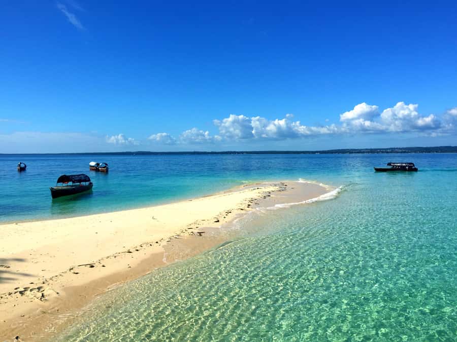Zanzibar: Nakupenda Sandbank and Prison Island Tour & Lunch - Key points to know before you book