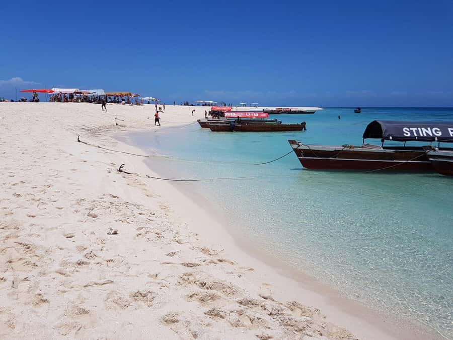 Zanzibar: Nakupenda Sandbank and Prison Island Tour & Lunch - Prison Island and its old cells