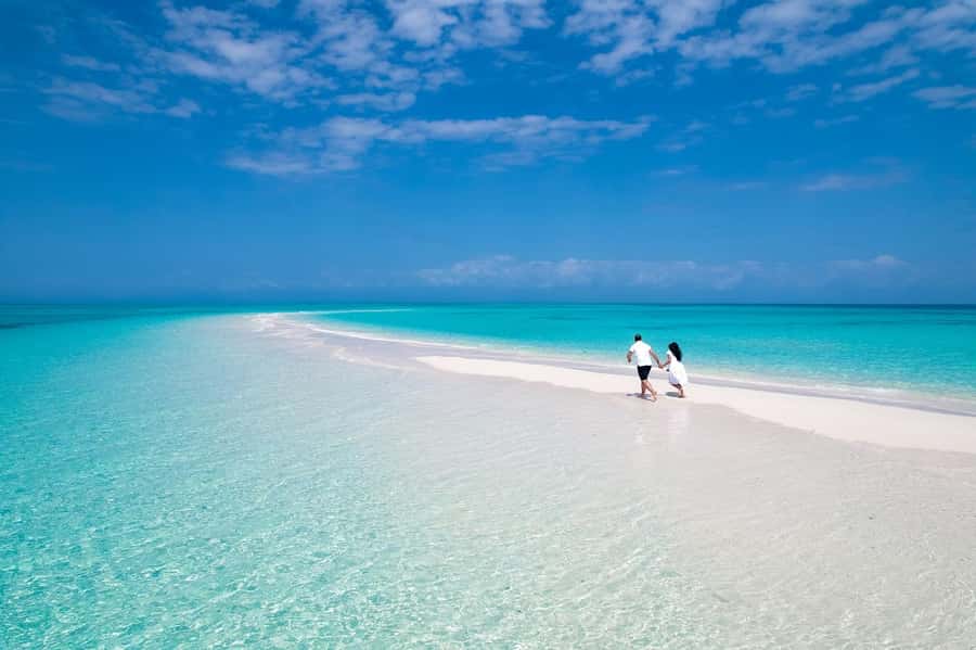 Zanzibar: Nakupenda Sandbank Day Trip with Snorkeling - Why Nakupenda Sandbank makes a good half-day escape