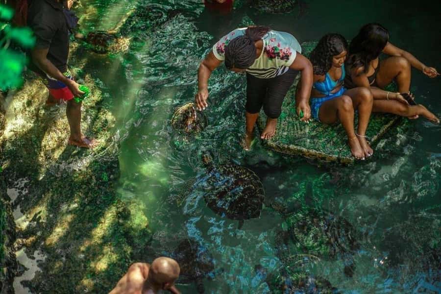 Zanzibar Nature Combo: Salaam Cave Swim & Jozani Forest Tour - Who will enjoy this most