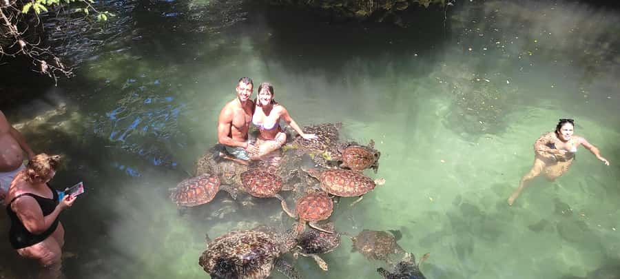 Zanzibar: North Coast and Turtle Sanctuary Tour - Key points to know before booking