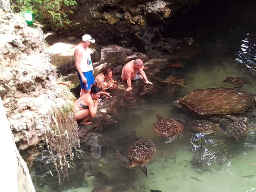 Zanzibar: North Coast and Turtle Sanctuary Tour - Why the north coast works well for a half-day