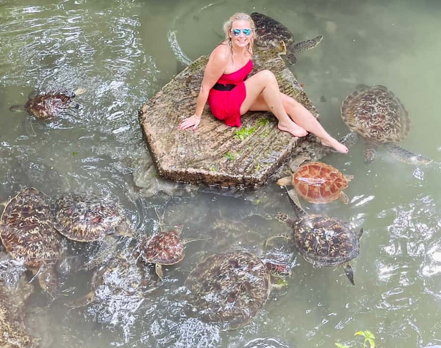 Zanzibar: North Coast and Turtle Sanctuary Tour - Swimming with turtles at the natural aquarium