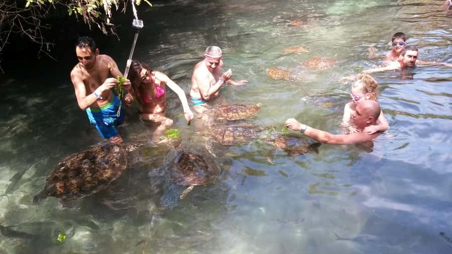 Zanzibar: North Coast and Turtle Sanctuary Tour - Lunch, one drink, and a taste of local food