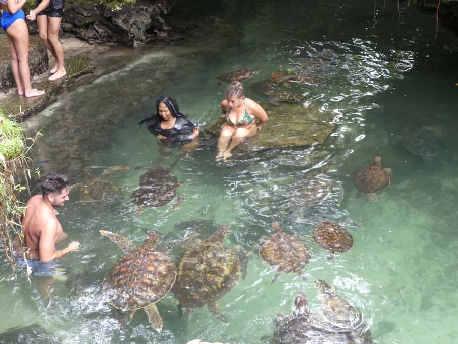 Zanzibar: North Coast and Turtle Sanctuary Tour - The guides can make or break the day