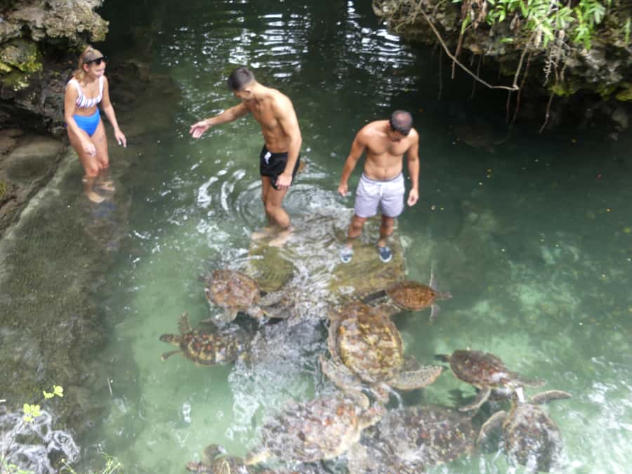 Zanzibar: North Coast and Turtle Sanctuary Tour - The six-hour schedule and its tradeoffs