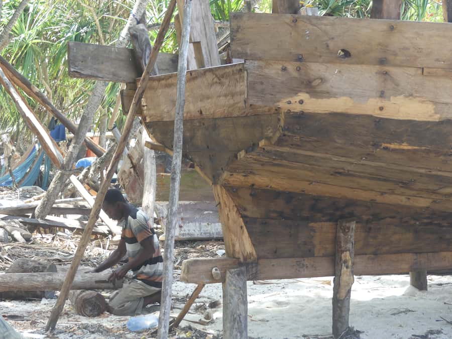 Zanzibar: North Coast and Turtle Sanctuary Tour - Who should book this Zanzibar experience