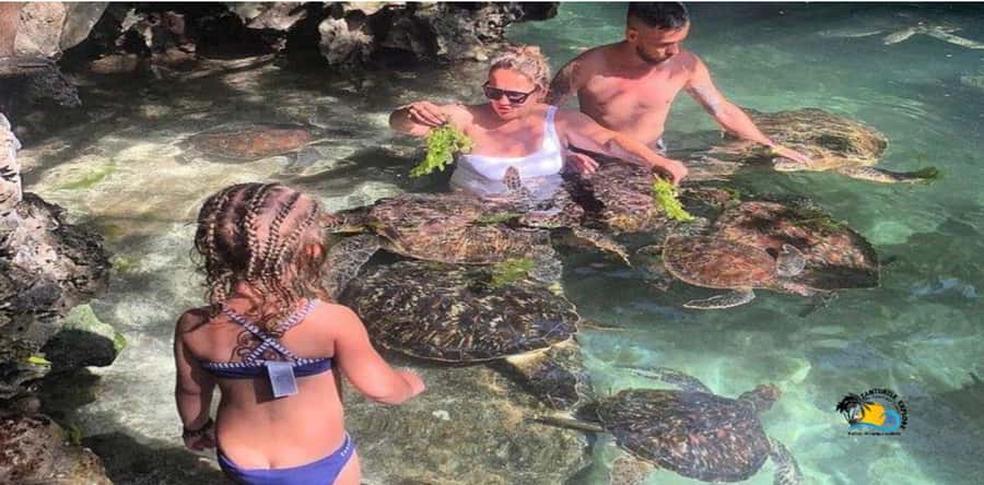 Zanzibar: Nungwi Cultural Village Tour and Swim Turtles - Why this Nungwi combination works