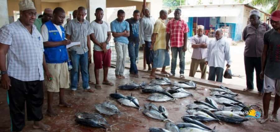 Zanzibar: Nungwi Cultural Village Tour & Sunset Dhow Cruise - Seeing dhow boats built by hand